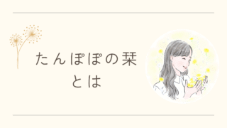 たんぽぽの栞とは